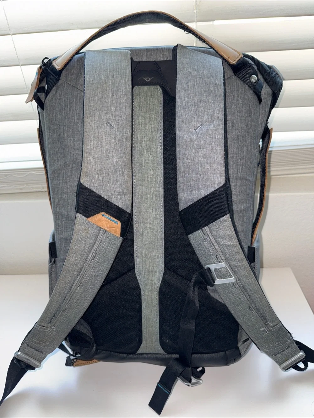 Peak design everyday 20L Camera Backpack